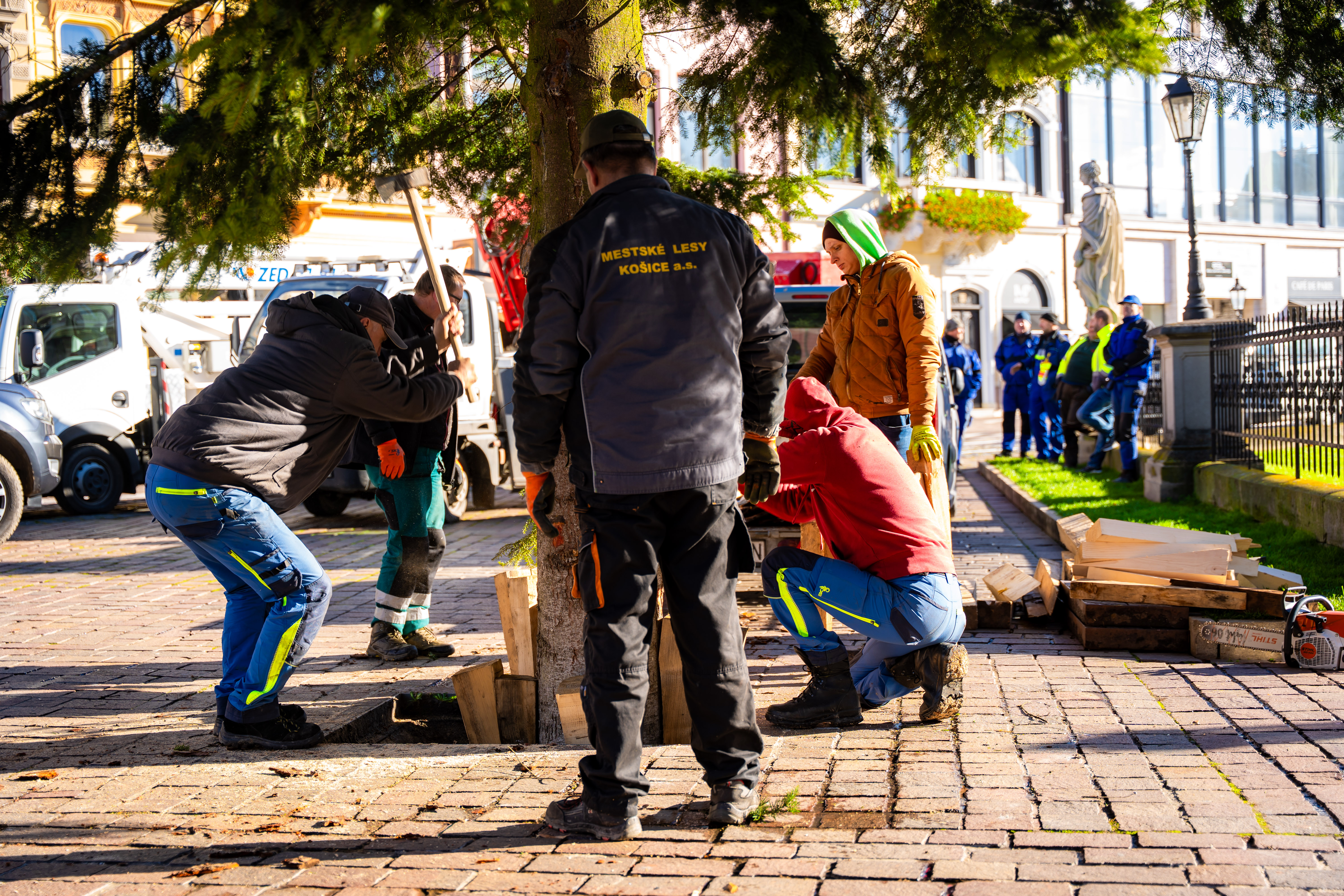 Umiestnovanie Vianocneho stromu-37